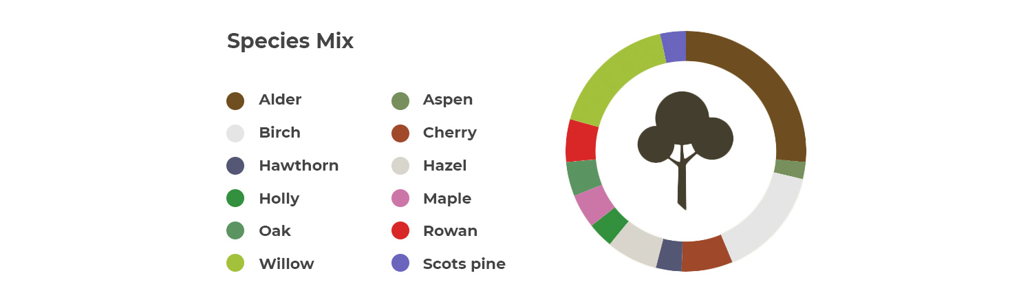 Carbon footprint diagram