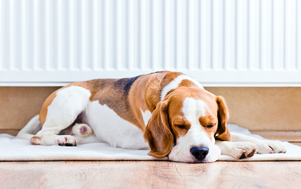 How long do you leave your heating on each day?