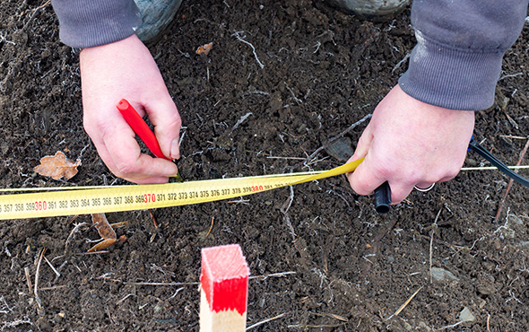 Worker marks the exact position on the soil.