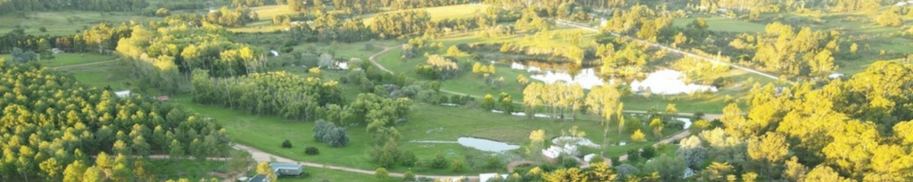 Uruguay Forest